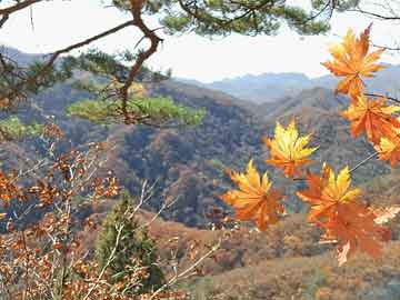 冬季艺术之旅：畅游旅顺，感受冬日童话的魅力