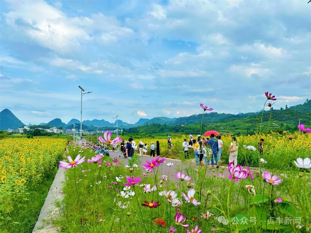 山花烂漫时：春暖花开，探访最美的自然景观与乡村之旅