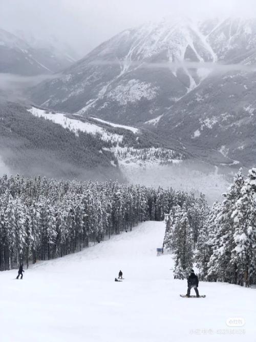 中产阶级避开人群，户外和滑雪圈成新选择