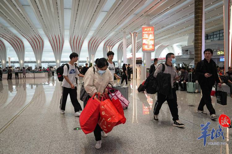 春运首日：洋山深水港迎来繁忙潮，保障运输高效运行