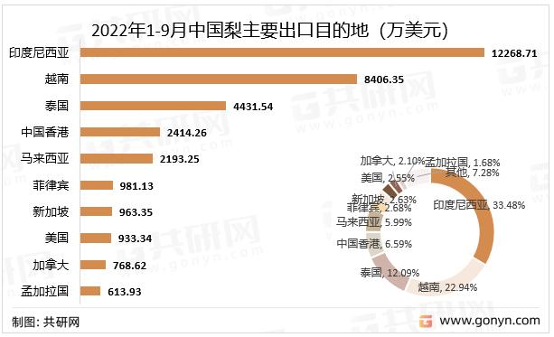 我国各大区域进出口数据揭示：经济回暖与全球市场变化的深度交织