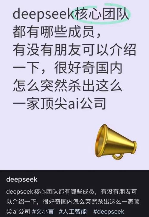 全网热议DeepSeek团队背后真相：揭秘背后的清流与阴谋