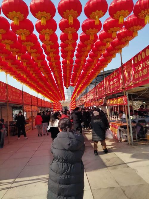 禹州年货节热闹非凡，浓浓年味唤醒乡愁情怀